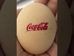 Höhe 1062 UVdrucker Maximum Width Millimeters DTF 620 Millimeter Digital-Tinte Jet Printer